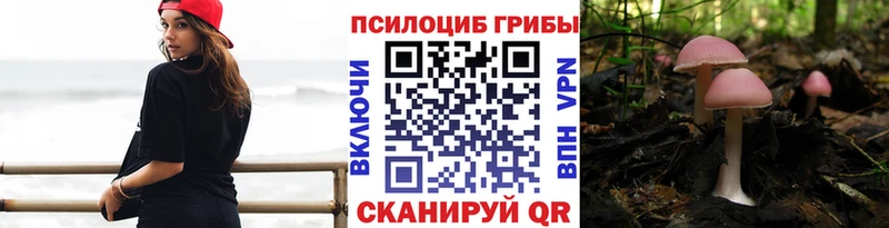 наркотики  нарко площадка какой сайт  Галлюциногенные грибы мицелий  Сургут 